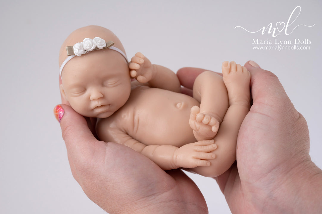 Bailey Asleep by Maria Lynn