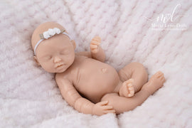Bailey Asleep by Maria Lynn