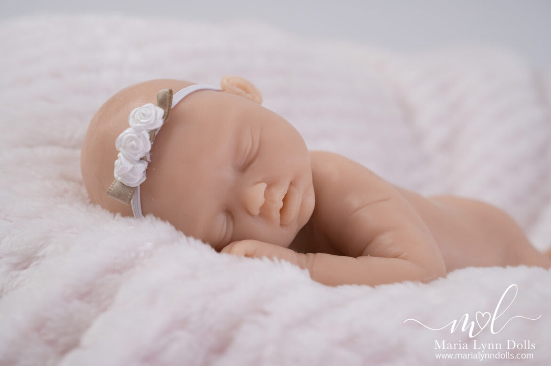 Bailey Asleep by Maria Lynn