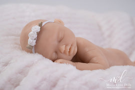 Bailey Asleep by Maria Lynn